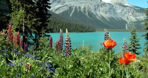 Relax Nelle Montagne Rocciose Scoprire La Cura Di Bellezza